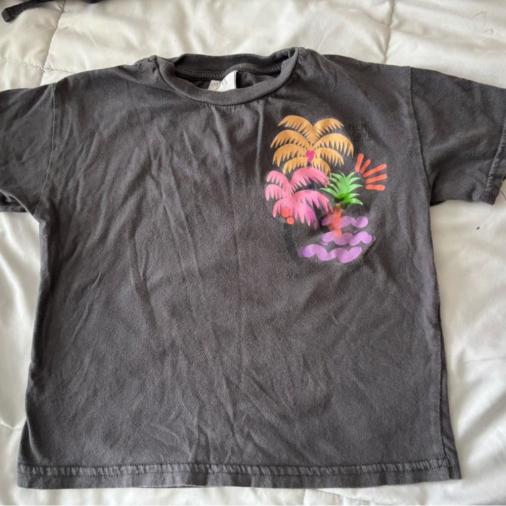 Zara 2T/3T Kids Graphic Tee - Gray with Colorful Design